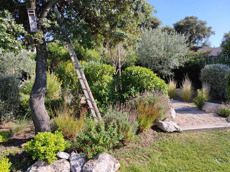 La Mathilde Bed & Breakfast Villeneuve-lès-Avignon Dış mekan fotoğraf